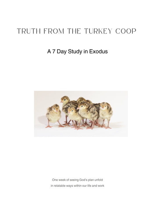 Truths from The Turkey Coop- A 7 Day Study in Exodus