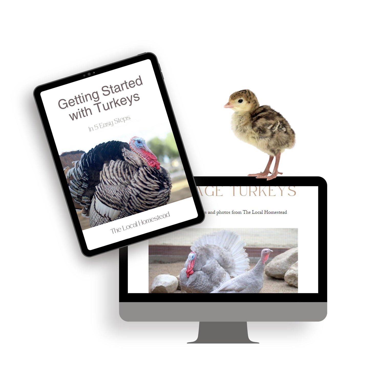 The Book:  Getting Started with Turkeys in 5 Easy Steps